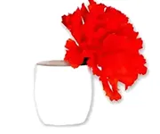 Sake Cups and Bottles